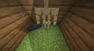 Shadow Crystal
