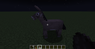 Donkey