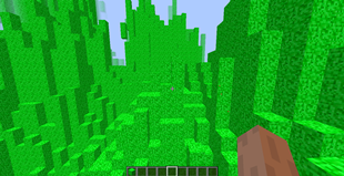 A strange landscape