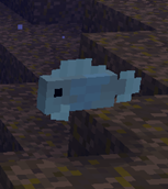 Trout