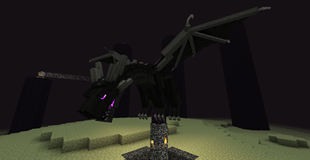 Ender Dragon (perch)