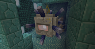 Pixel-consistent Elder Guardian