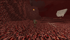 nether: