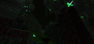 The Kusa Groves