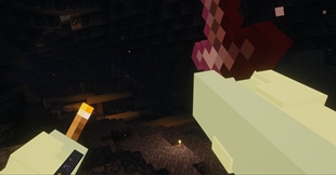 VR showcase screenshot in cave