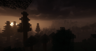 Night is approaching