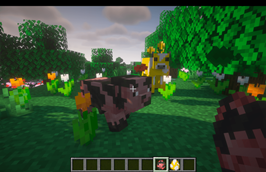 bloomshroom and muddy pig