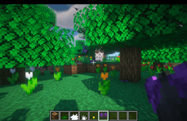 Butterflies