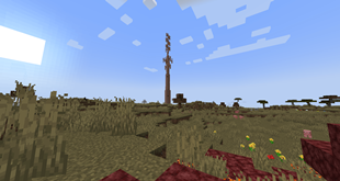A Cell Tower
