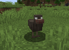 Zombified Chicken
