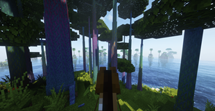 "Complementary" Shader + Cool Coastal Biome 1