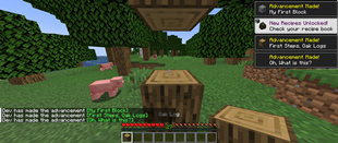 advancemently_gallery_image_4.png