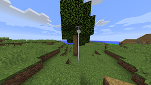 Grappling Hook on a Tree