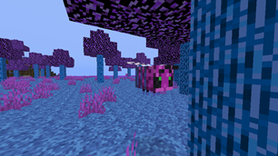 2025-05-30_14.06.27.png
