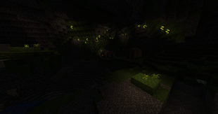 Underground Jungles