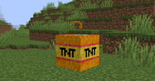 Carrot TNT