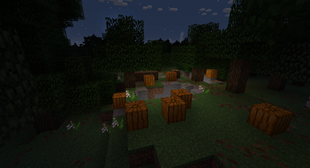 Burning Pumpkins