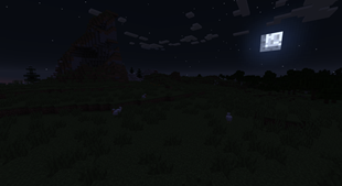 Plain (Night)