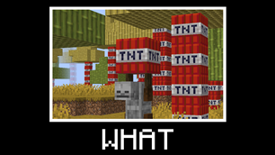 tnt_place.png