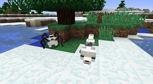 snowfox
