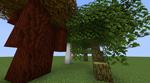 logo_wood.png