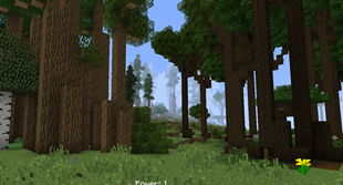 Terrain