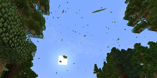Leaf Particles