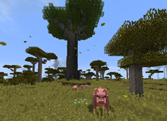 New trees and textures