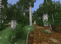 Rain and Terrain