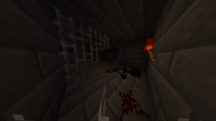 What happened to him?