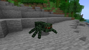 Spider.jpg