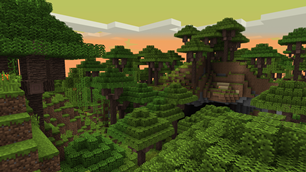 Dense Forest