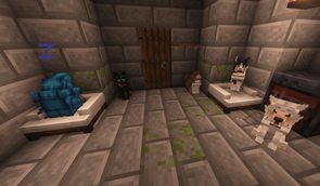 Pets