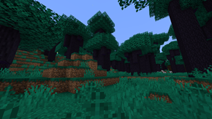 The Enchantment Woods