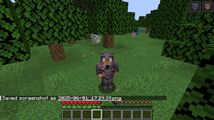 Netherite effects