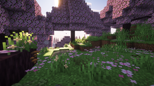 Cherry Grove Biome