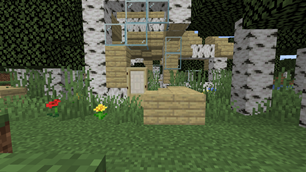 birch forest abandoned house
