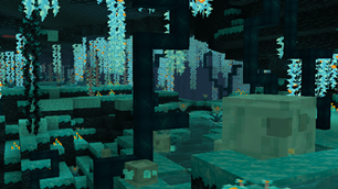 2024-08-21_12.png