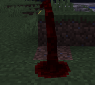 Screenshot 2025-06-01 221311.png