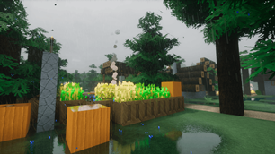 Village