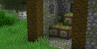 Hemp Crates