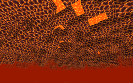 2025-05-09_16.27.53.png