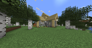 Abandoned Birch Forest House