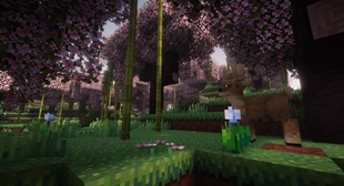 Peaceful Forest