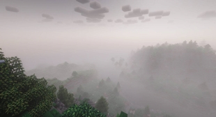 Fog