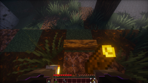 Placing Firewood 1
