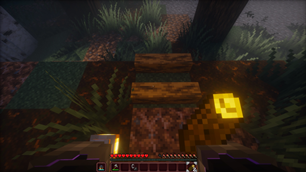 Placing Firewood 2