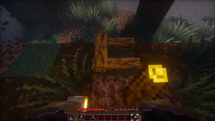 Placing Firewood 3