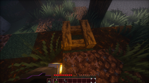 Placing Firewood 4