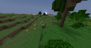Grass without Alpha Grass
